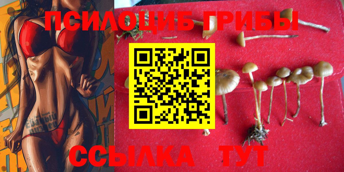 Боровичи  Галлюциногенные грибы Psilocybine cubensis  Вход с VPN 